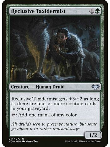 Reclusive Taxidermist