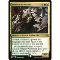 Veteran Warleader