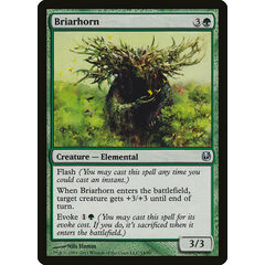 Briarhorn