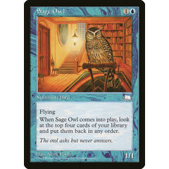 Sage Owl