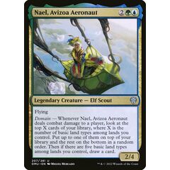 Nael, Avizoa Aeronaut