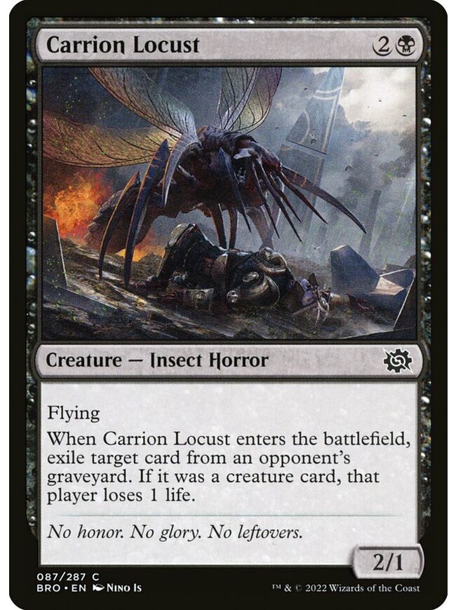 Carrion Locust