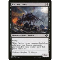 Carrion Locust