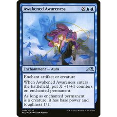 Awakened Awareness