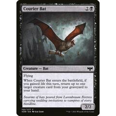 Courier Bat