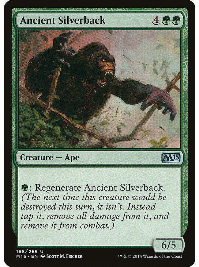 Ancient Silverback