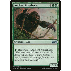 Ancient Silverback