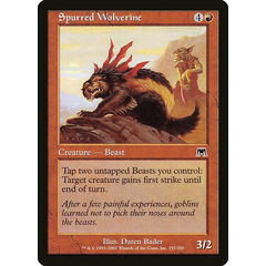Spurred Wolverine