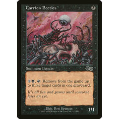 Carrion Beetles
