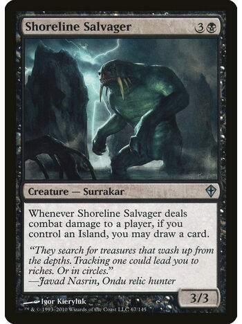 Shoreline Salvager
