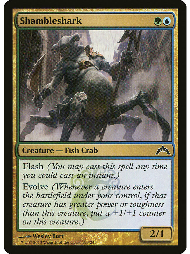 Shambleshark