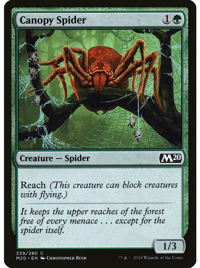 Canopy Spider