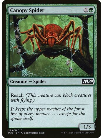 Canopy Spider