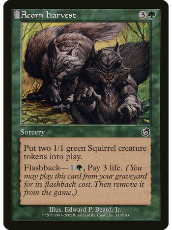 Acorn Harvest