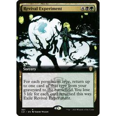 Revival Experiment