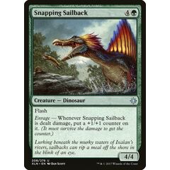Snapping Sailback
