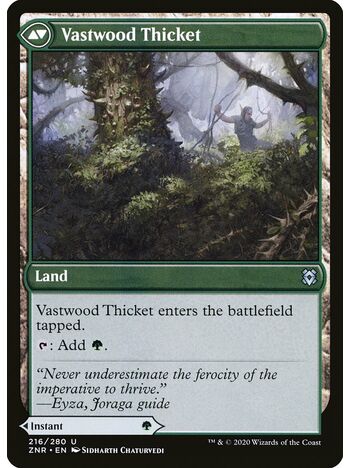 Vastwood Fortification // Vastwood Thicket