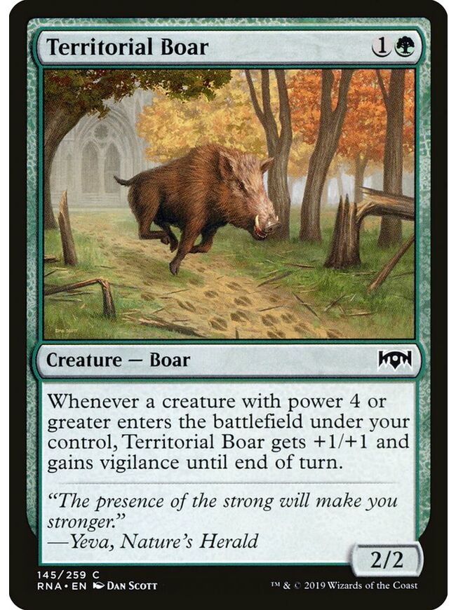 Territorial Boar