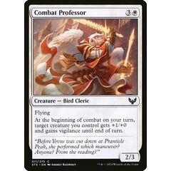 Combat Professor