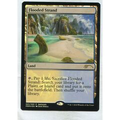 Flooded Strand