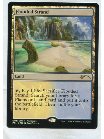 Flooded Strand