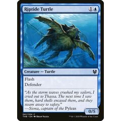 Riptide Turtle
