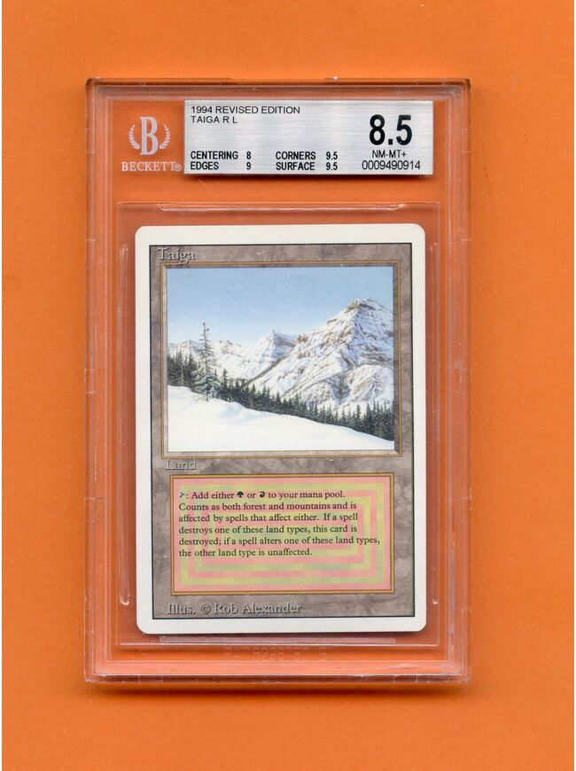 Taiga