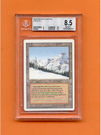 Taiga