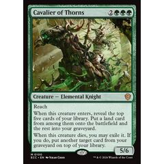 Cavalier of Thorns