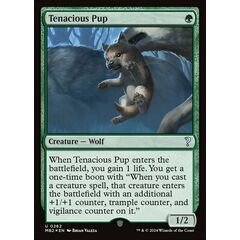 Tenacious Pup