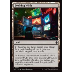 Evolving Wilds
