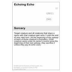 Echoing Echo