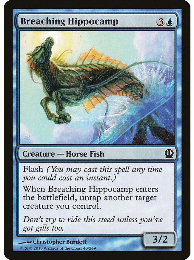 Breaching Hippocamp