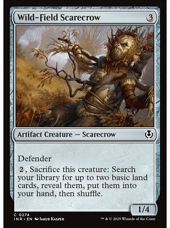 Wild-Field Scarecrow