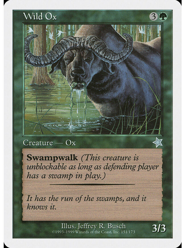 Wild Ox