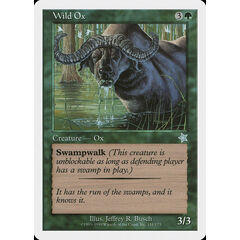 Wild Ox