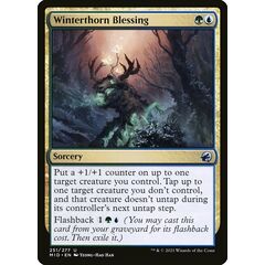 Winterthorn Blessing
