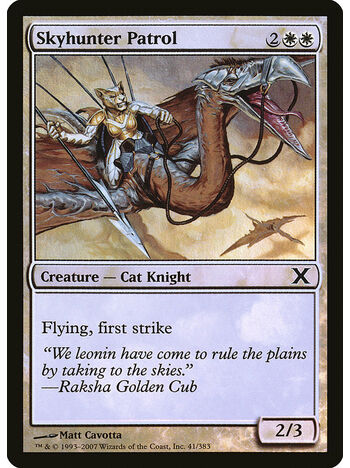 Skyhunter Patrol