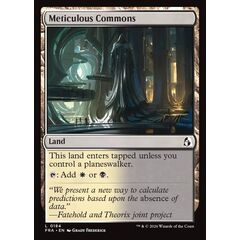 Meticulous Commons