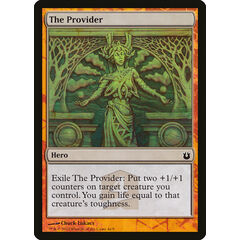 The Provider