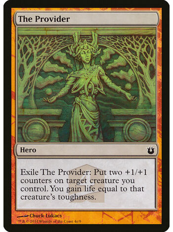 The Provider