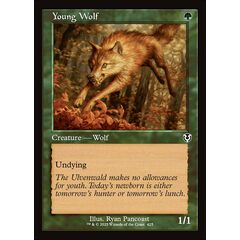 Young Wolf
