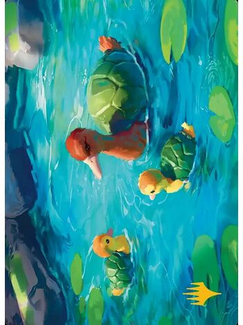 Turtle-Duck // Turtle-Duck