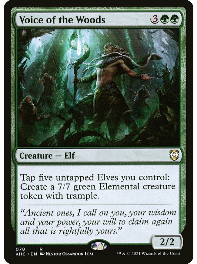 Voice of the Woods
