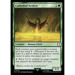 Cathedral Acolyte