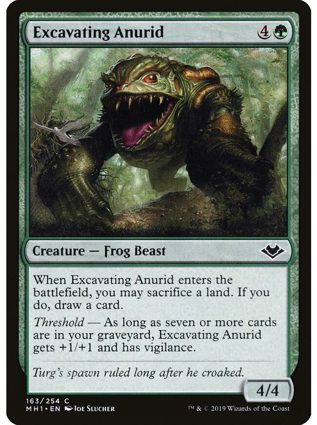 Excavating Anurid