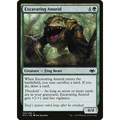 Excavating Anurid