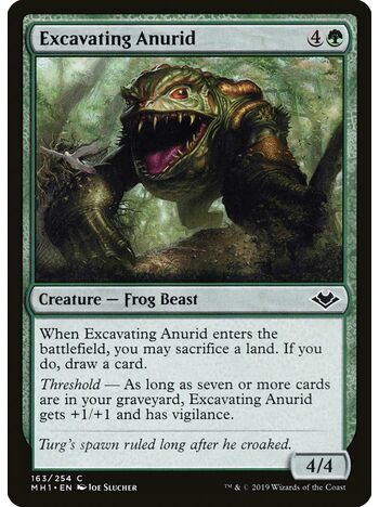 Excavating Anurid