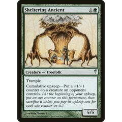 Sheltering Ancient