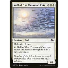 Wall of One Thousand Cuts